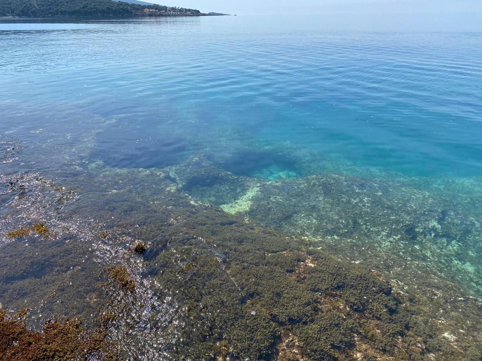 Bella Costa Leilighet Dobra Voda Rom bilde